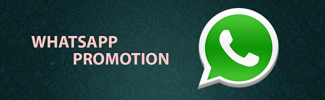 Whatsapp Marketing Service Provider